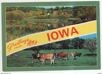 AK 229947 USA - Iowa