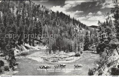 11705419 Idaho US-State Salmon River