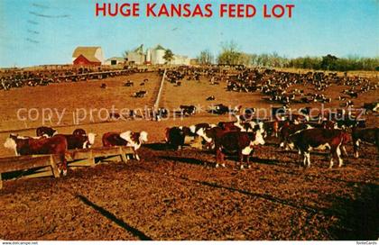 73304187 Kansas City Kansas Huge Kansas Feed Lot