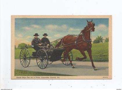 AMISH BOYS OUT FOR A DRIVE LANCASTER COUNTY PA