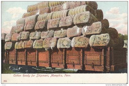 Memphis Cotton Ready fir Shipment