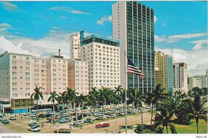 ETATS-UNIS - USA - FLORIDA - FL - BOULEVARD A BUSY TROPICAL MIAMI