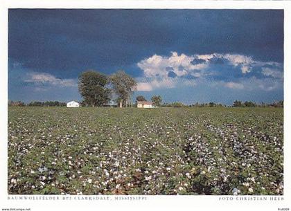 AK 186085 USA - Mississippi - Baumwollfelder bei Clarksdale