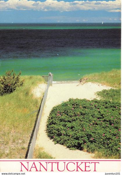 CPSM Nantucket-Step Beach-RARE-Beau Timbre       L2551