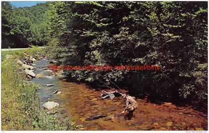 Angling in the smokies North Carolina