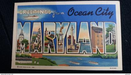 CPA GREETINGS FROM MARYLAND OCEAN CITY  ED CT ART COLORTONE USA 1940