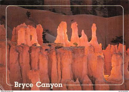 ETATS UNIS BRYCE CANYON BRYCE CANYON NATIONAL PARK