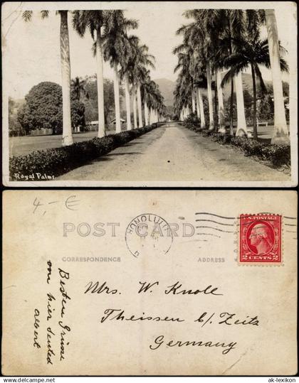 Postcard Honolulu Royal Palms Street View Palmen Allee 1920    Stempel HONOLULU