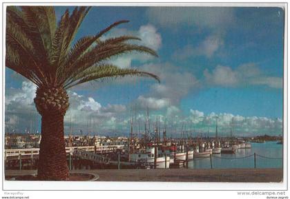 San Diego - Fishing Pier - old postcard without stamp travelled 1962 bb160204