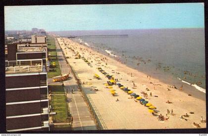 AK 126212 USA - Virginia - Virginia Beach