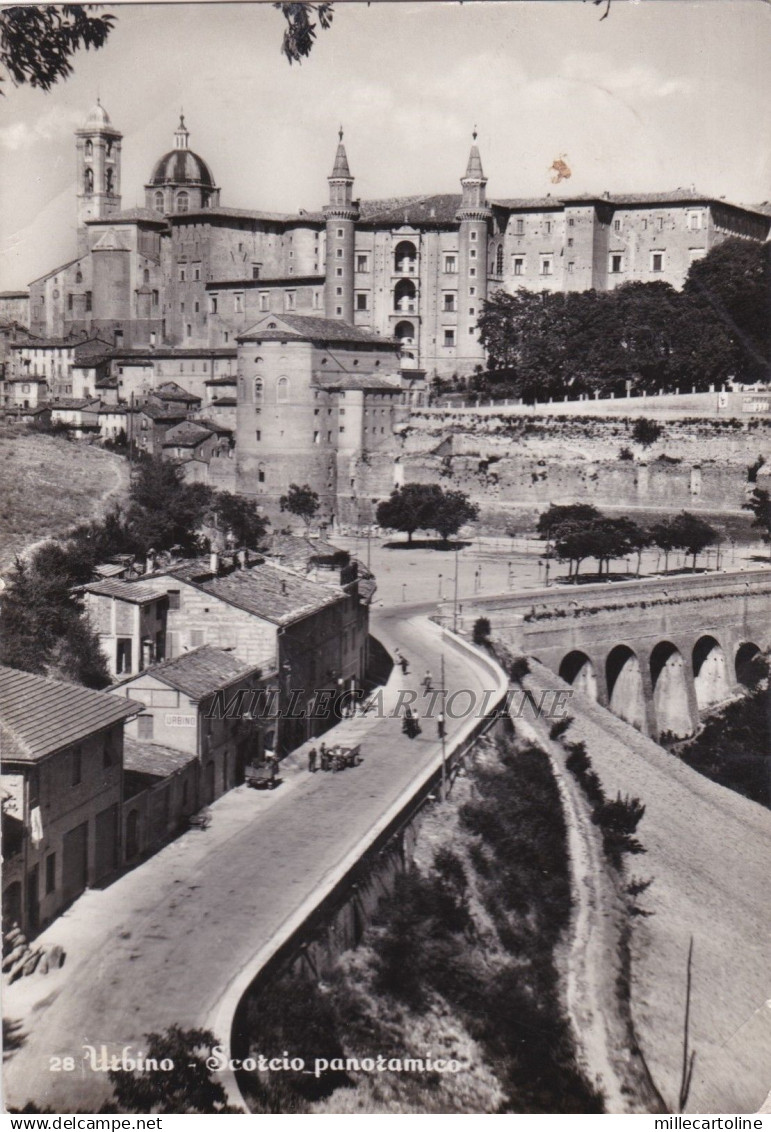 URBINO. Scorcio panoramico    1973