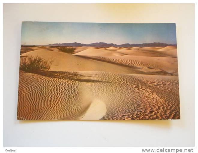 US -TX -Texas - Sand dunes in desert   PU 1964  VF   D63080