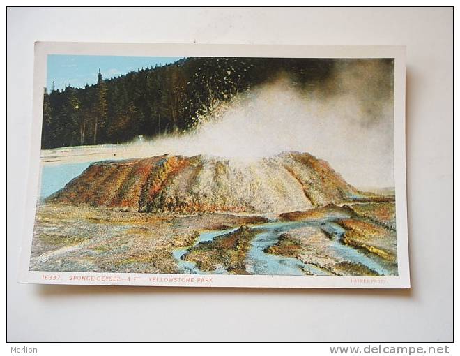 US -WY- Yellowstone Park - Sponge Geyser   -  ca  1910-20's - VF  -  D64640