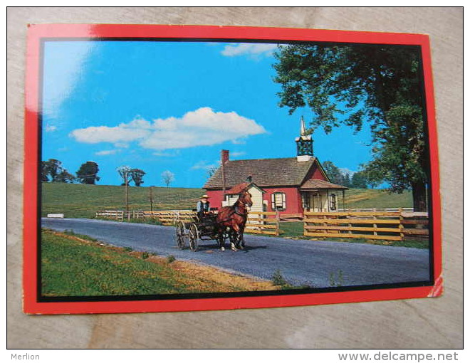 USA  - AMISH Country - horse carriage  D110149