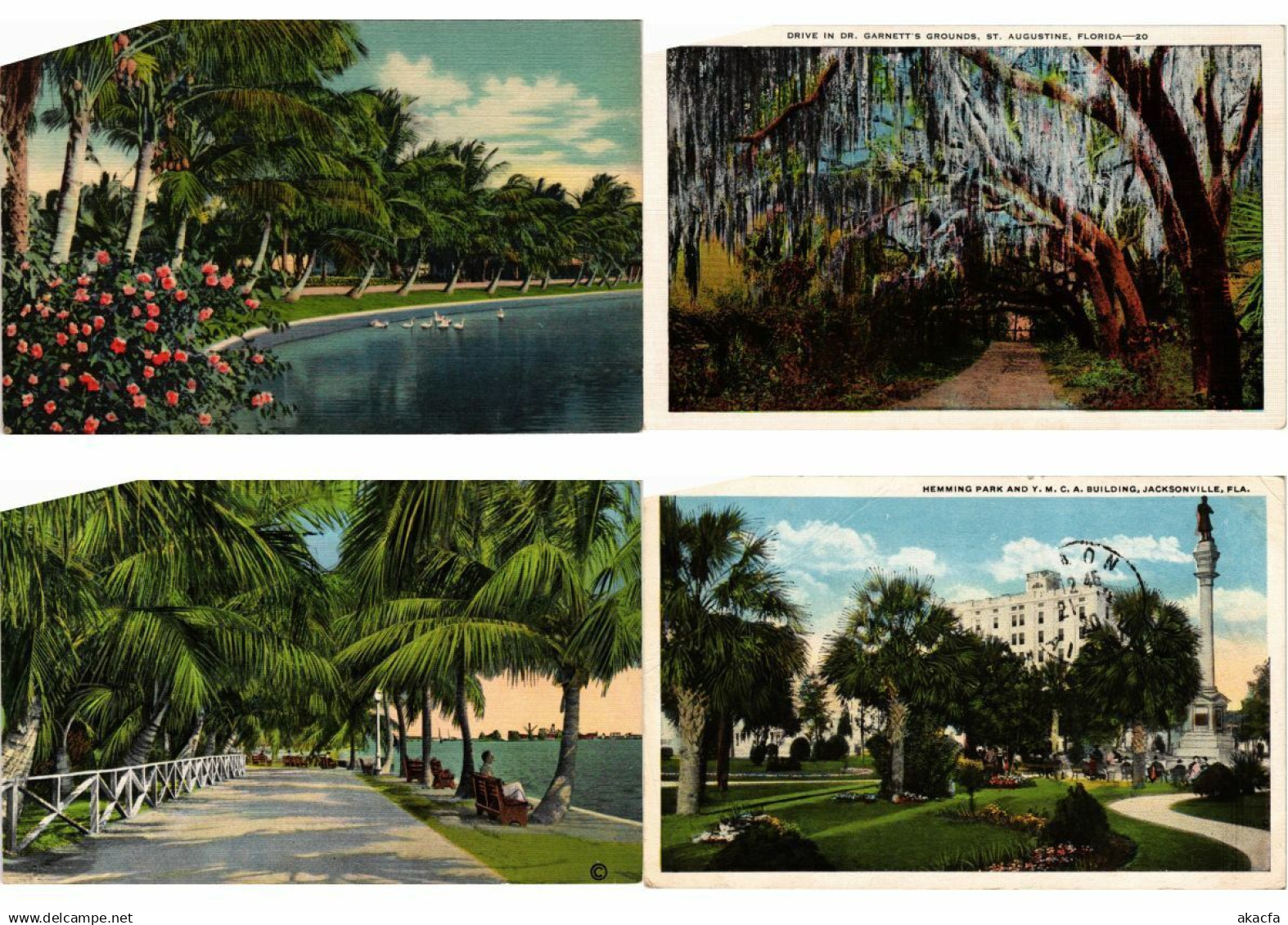 USA FLORIDA FL 73 Vintage Postcards (L2613)