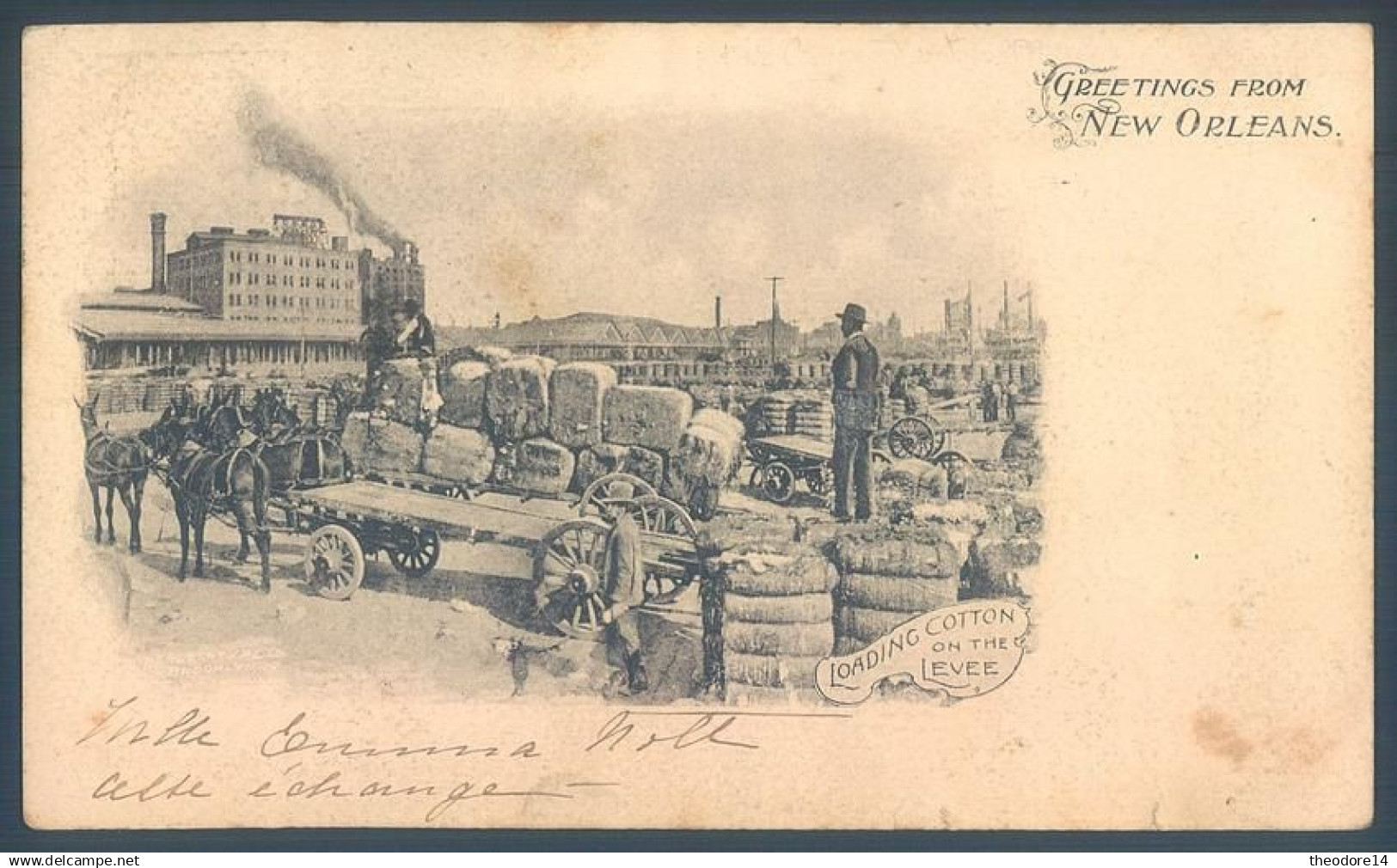 USA LA Louisiana Greetings from NEW ORLEANS Loading Cotton on the Levee