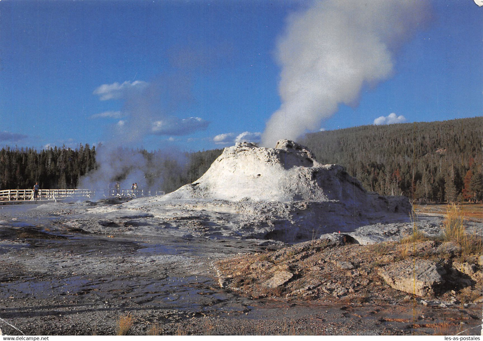 USA WY YELLOWSTONE