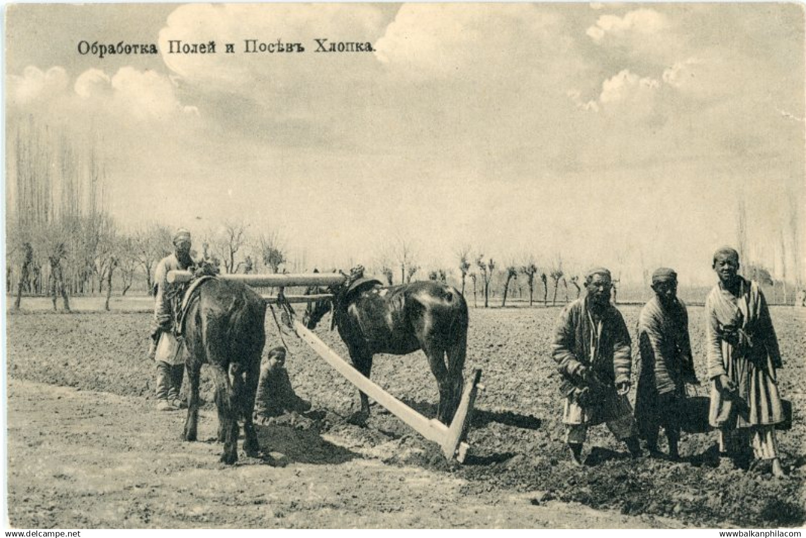 Uzbekistan Kokand Horse Plough