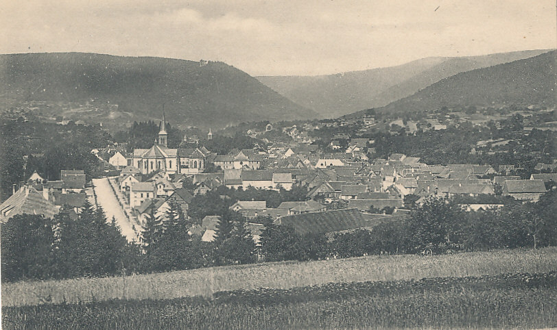 V 285 /CPA  NIEDERBRONN LES BAINS (67)