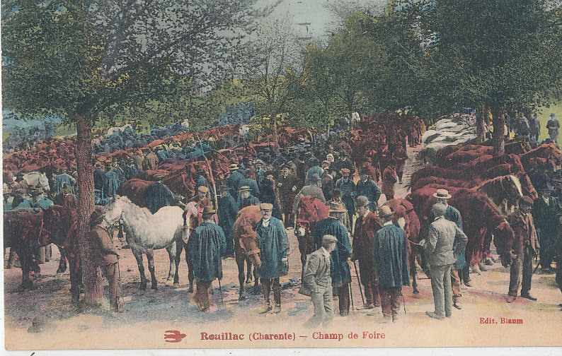 V 964 /CPA   ROUILLAC (16)    CHAMP DE FOIRE