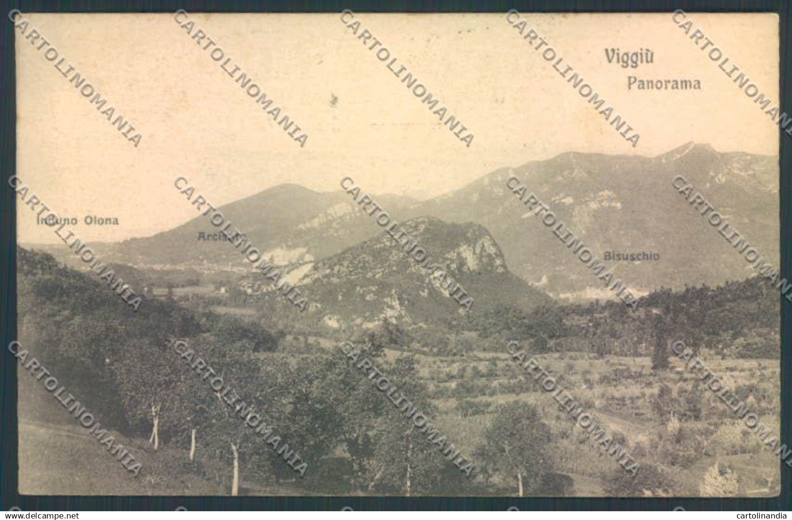 Varese Viggiù cartolina LQ7525