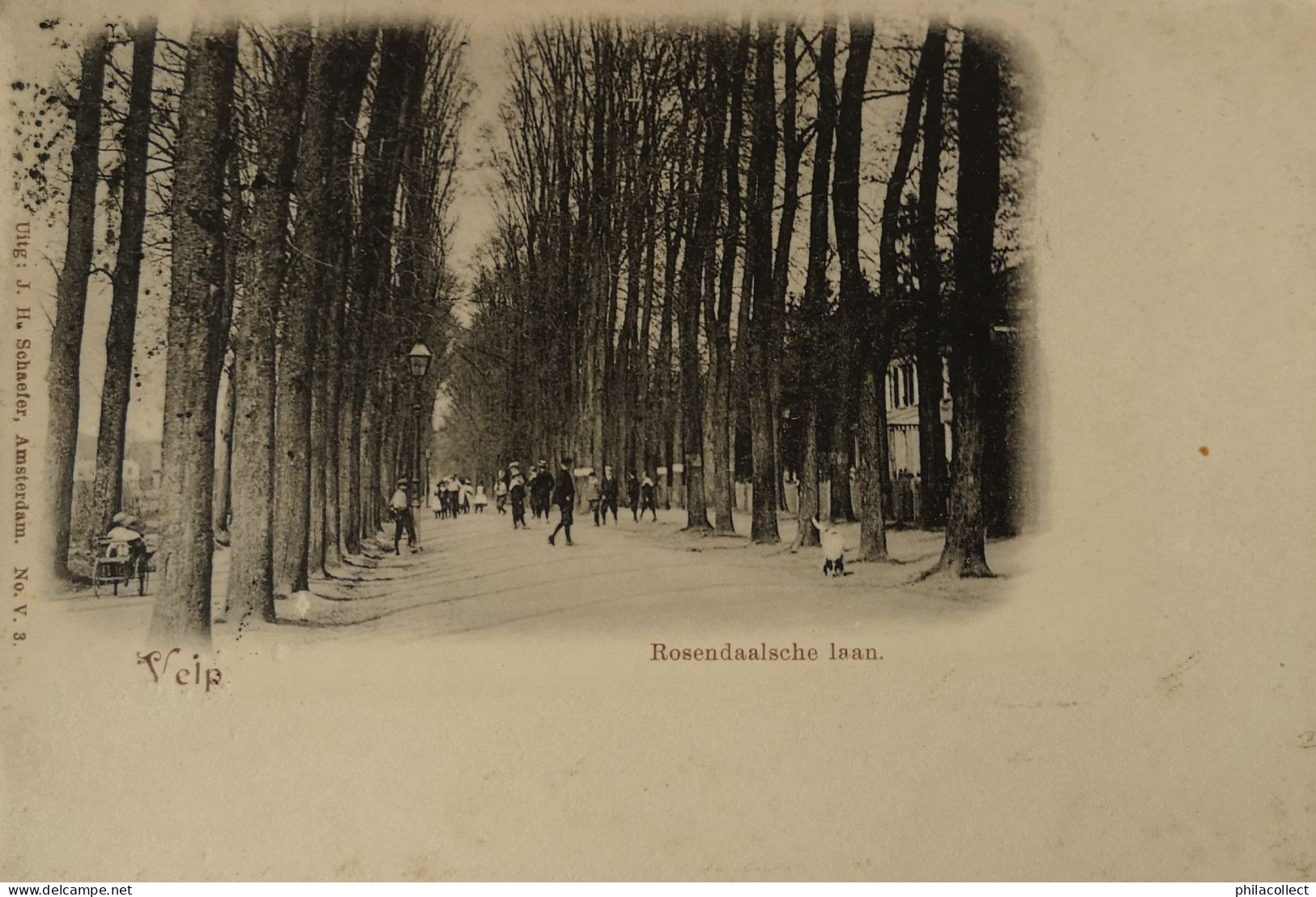 Velp (Gld.) Rosendaalsche Laan 1901