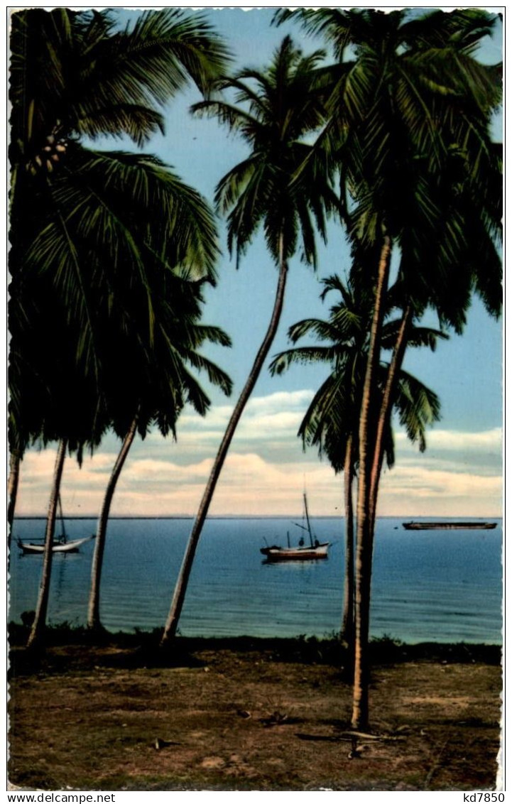 Venezuela - Lago y Palmeras