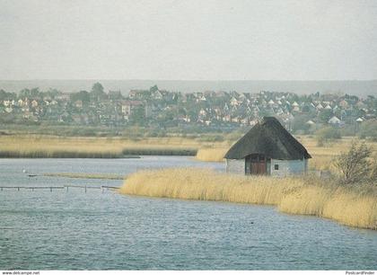 RSPB Radipole Lake Reserve Bedfordshire Postcard