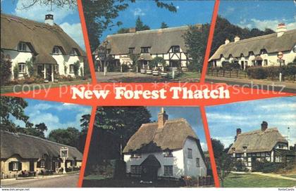 72420232 Huntingdon Huntingdonshire New Forest Thatch