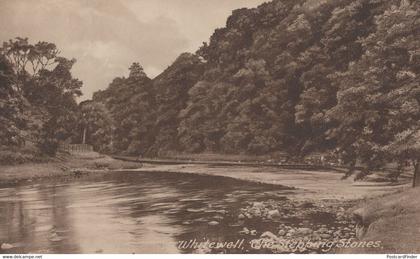 Whitewell Stepping Stones Lancashire River Antique Postcard