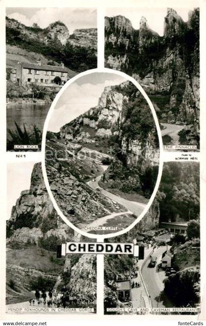 43005917 Cheddar Lion Rock Pinnacles Cheddar Cliffs Mendip Foxhounds in Cheddar