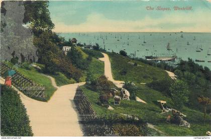 Westcliff slopes