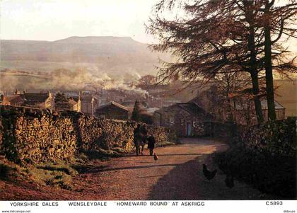 Angleterre - Wensleydale - Yorkshire Dales - Homeward bound at Askrigg - Yorkshire - England - Royaume Uni - UK - United