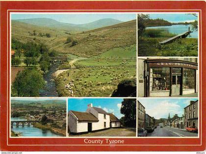 Irlande du Nord - Tyrone - County Tyrone - Multivues - Northern Ireland - Irlanda del Norte - CPM - Voir Scans Recto-Ver