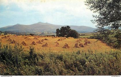 Wales Brecon - the beacons from Crug Hill