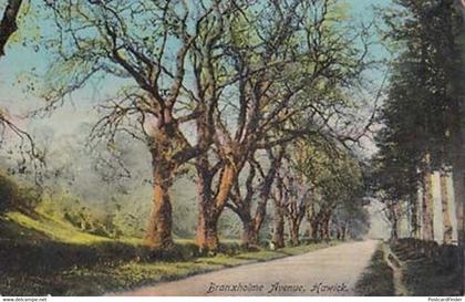 Hawick Branxholme Avenue Roxburghshire Antique Postcard