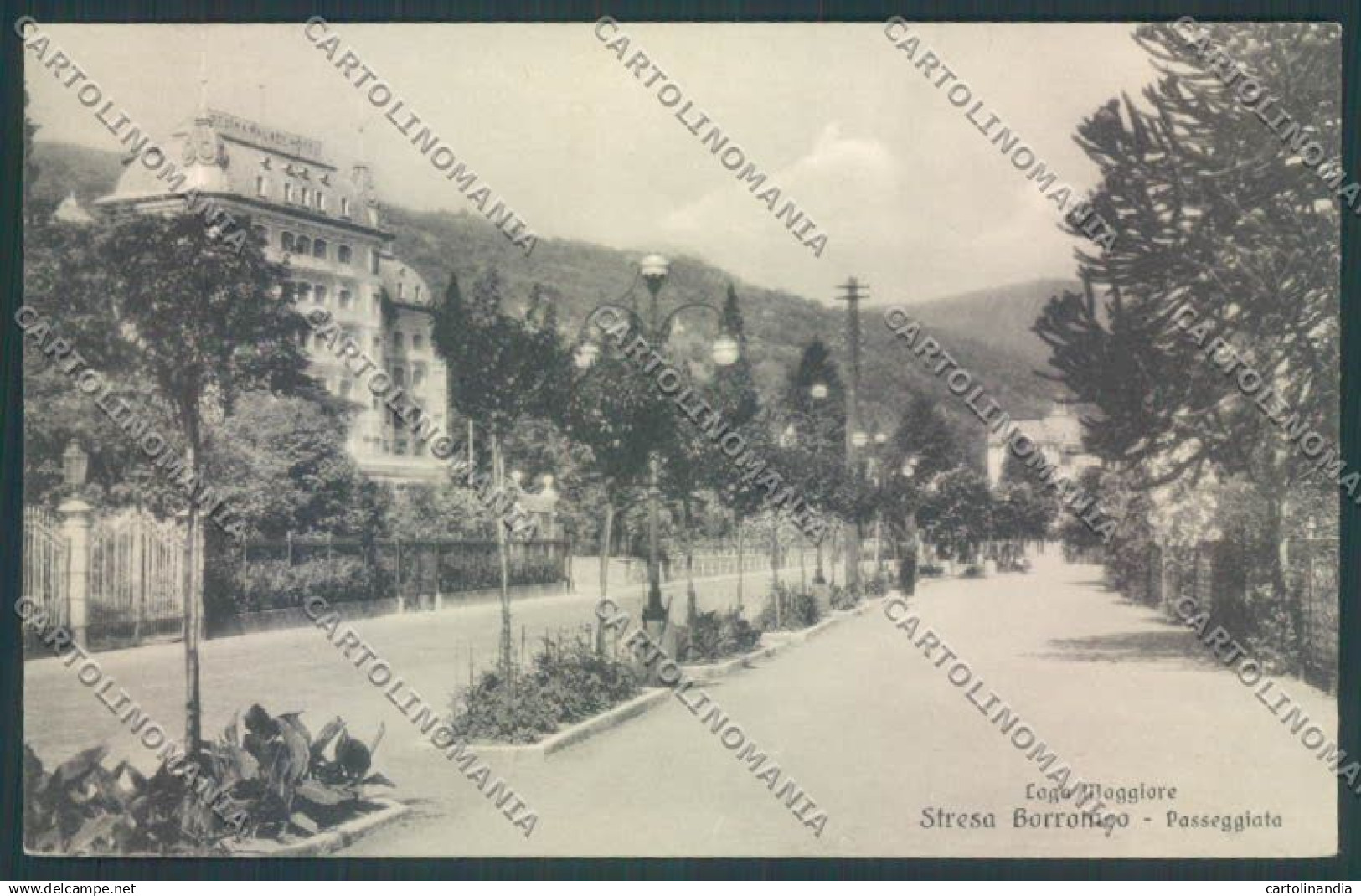 Verbania Stresa cartolina ZQ5655