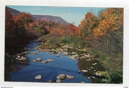 AK 110963 USA - New York - Catskills Mountains - Autumn view of Hunter Mountain Elevation 4045