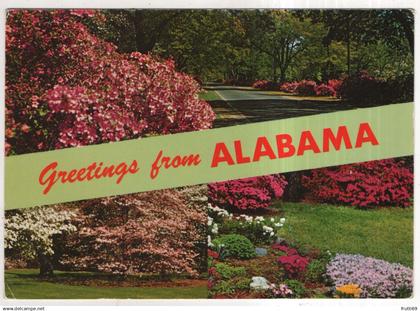 AK 232033 USA - Alabama