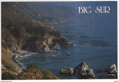 AK 228169 USA - California - Big Sur