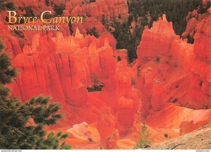 ETATS UNIS BRYCE CANYON BRYCE CANYON NATIONAL PARK