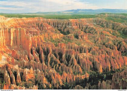 ETATS UNIS BRYCE CANYON BRYCE CANYON NATIONAL PARK