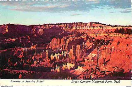 Etats Unis - Bryce Canyon National Park - Sunrise at Sunrise Point - Carte Neuve - CPM - Voir Scans Recto-Verso