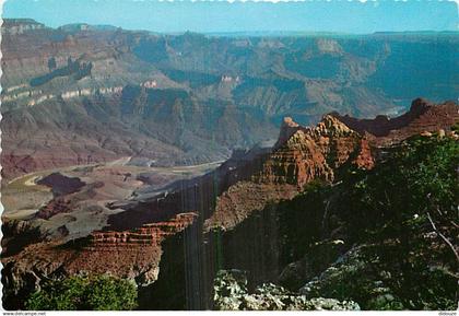 Etats Unis - Grand Canyon - Grand Canyon National Park - Etat de l'Arizona - Arizona State - Carte Dentelée - CPSM grand