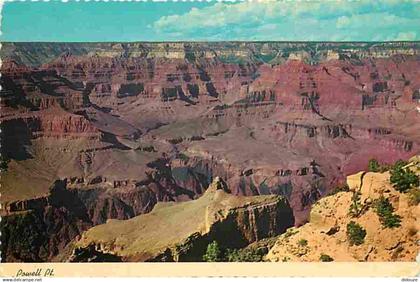 Etats Unis - Grand Canyon - Grand Canyon National Park from Powell Memorial Point - CPM - Voir Scans Recto-Verso