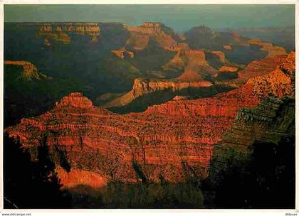 Etats Unis - Grand Canyon - Grand Canyon National Park - The Sunset Depens the Red and Orange Color in the Walls of the