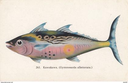 Hawaii Fish Series #263 'Kawakawa', c1900s/10s Vintage HI & South Seas Curio Co. Postcard