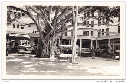 Hilo Big Island Hawaii, Moana Court and Banyan Tree, c1930s/40s Vintage Real Photo Postcard