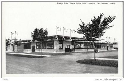 Des Moines IA, Sheep Barn Iowa State Fair Grounds Curteich Photo-Finish 1910s Vintage Postcard