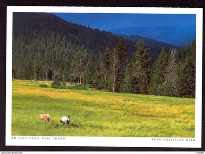 AK 001666 USA - Idaho - Am Lost Trail Pass